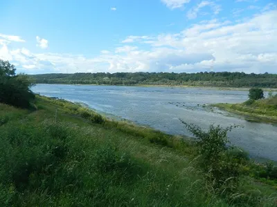 doradca ds upadłości, mediator